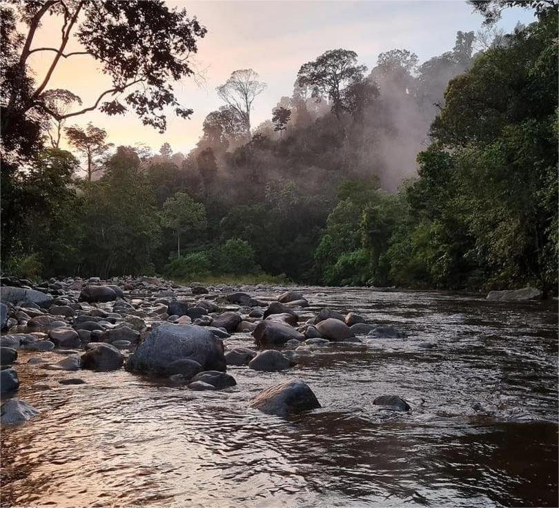 Sungai Kenerong